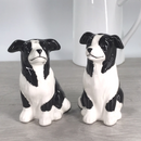 Border Collie design ceramic Salt & Pepper cruet set by Lesser & Pavey, boxed