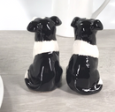 Border Collie design ceramic Salt & Pepper cruet set by Lesser & Pavey, boxed
