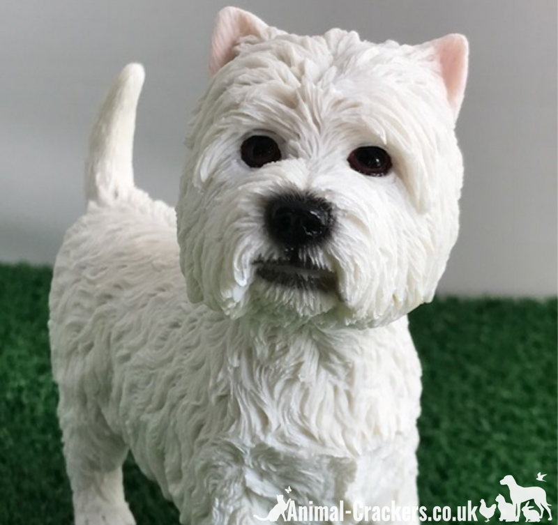 West highland terrier gifts 2025