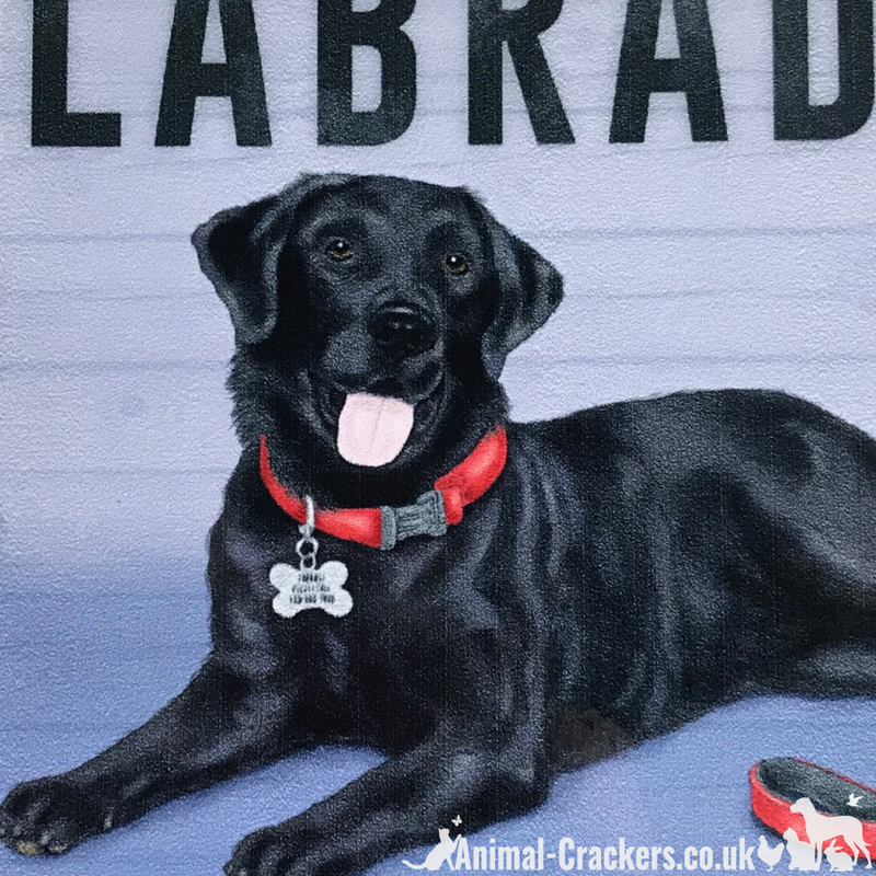 20cm metal vintage style Black Labrador lover breed character hang sign plaque