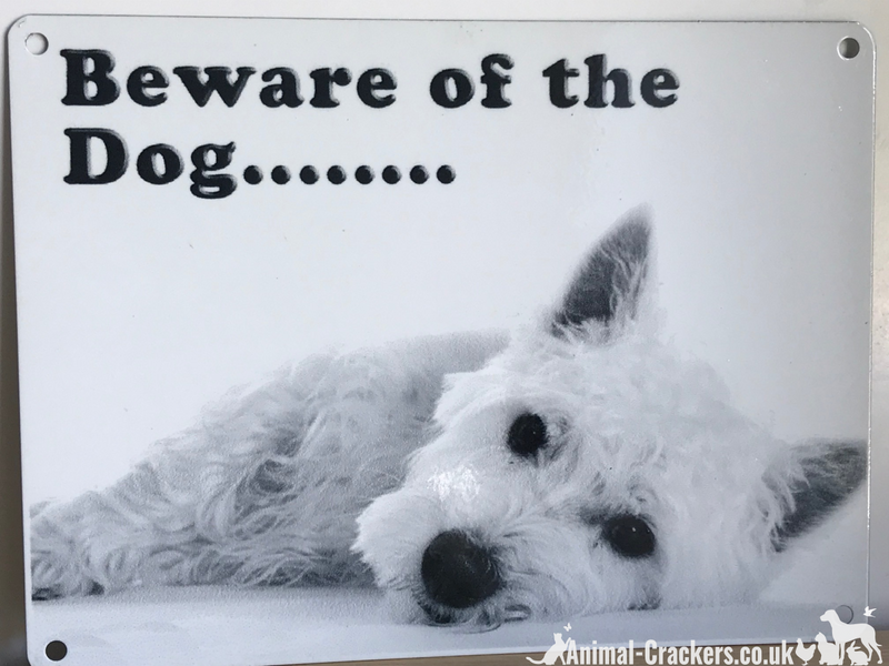20cm metal 'Beware of the dog' sign with cute West Highland Terrier, great novelty Westie lover gift