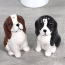 Cavalier King Charles Spaniel design ceramic Salt & Pepper cruet set by Lesser & Pavey, boxed
