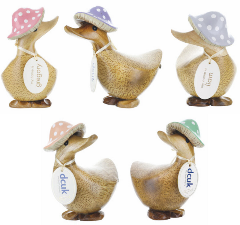 DCUK 'Toadstool Folk' natural wood Ducky in Spotty Hat, with name tag