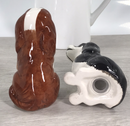 Cavalier King Charles Spaniel design ceramic Salt & Pepper cruet set by Lesser & Pavey, boxed