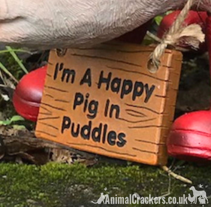 Happy Pig in Red Wellies with removable 'I'm a Happy Pig in Puddles' sign, great novelty garden ornament and Pig lover gift