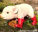 Large Pig in Red Wellington Welly Boots with 'I'm a Happy Pig in Puddles' sign, home or garden ornament (29cm)