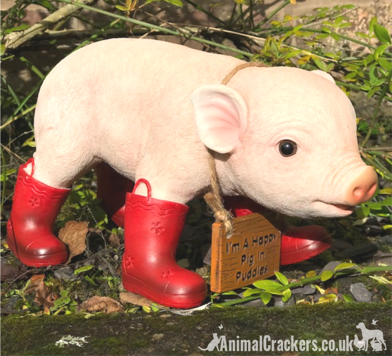 Happy Pig in Red Wellies with removable 'I'm a Happy Pig in Puddles' sign, great novelty garden ornament and Pig lover gift