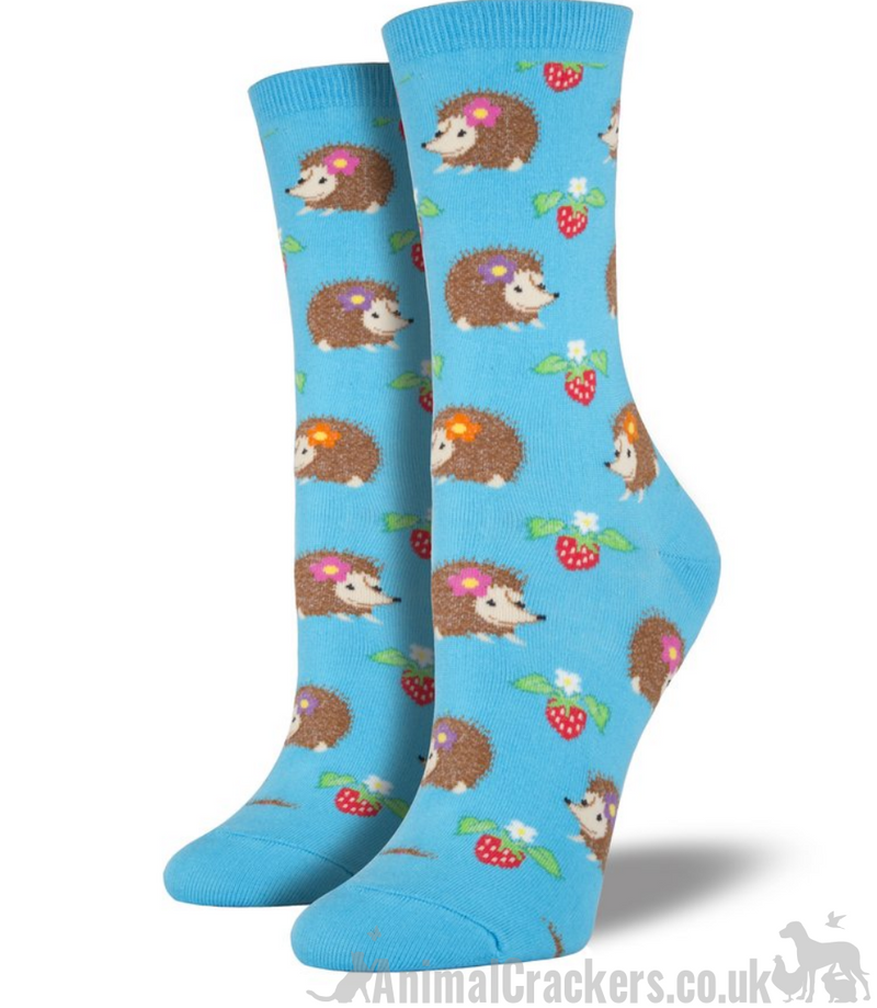 Women's Hedgehogs design socks by Socksmith, bright turquoise, one size