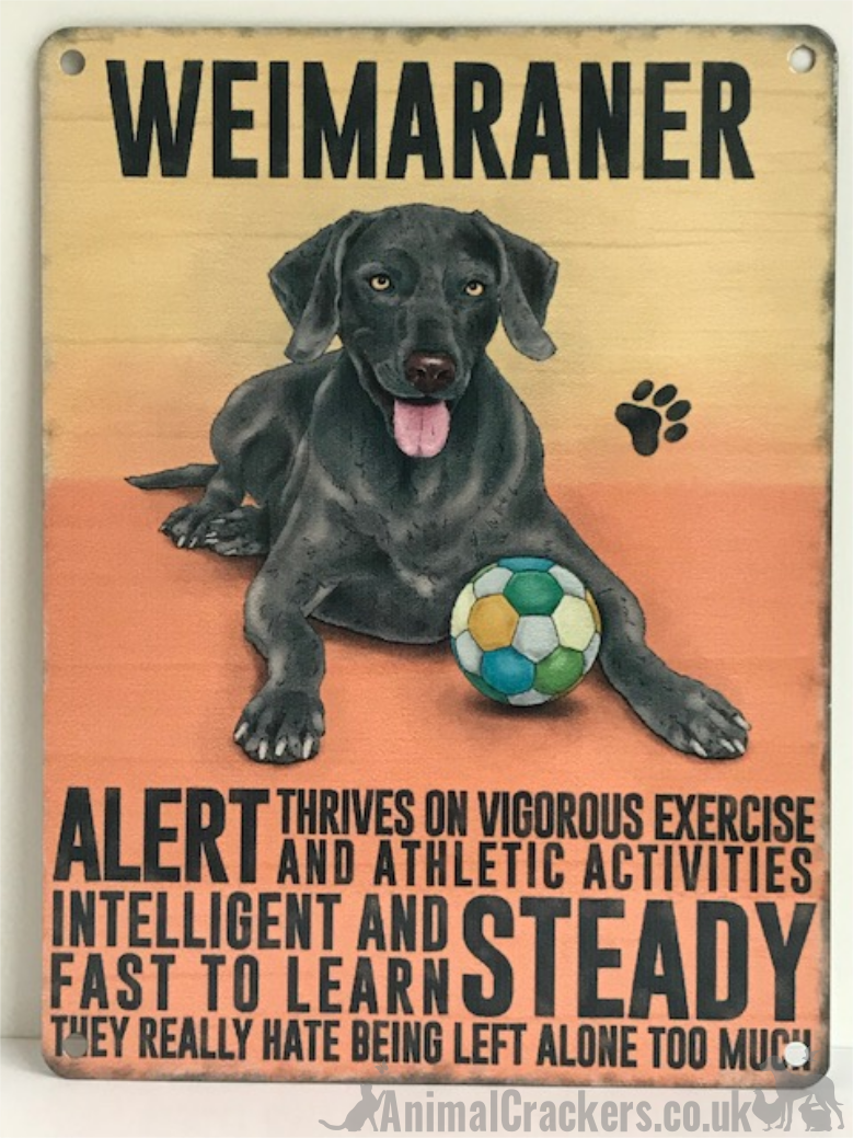 20cm metal retro vintage style Weimaraner breed character hanging sign plaque