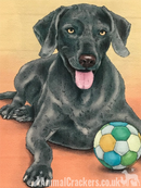 20cm metal retro vintage style Weimaraner breed character hanging sign plaque