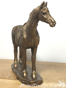 Horse Pony ornament sculpture figurine, quality Leonardo Bronzed  Reflections, gift boxed