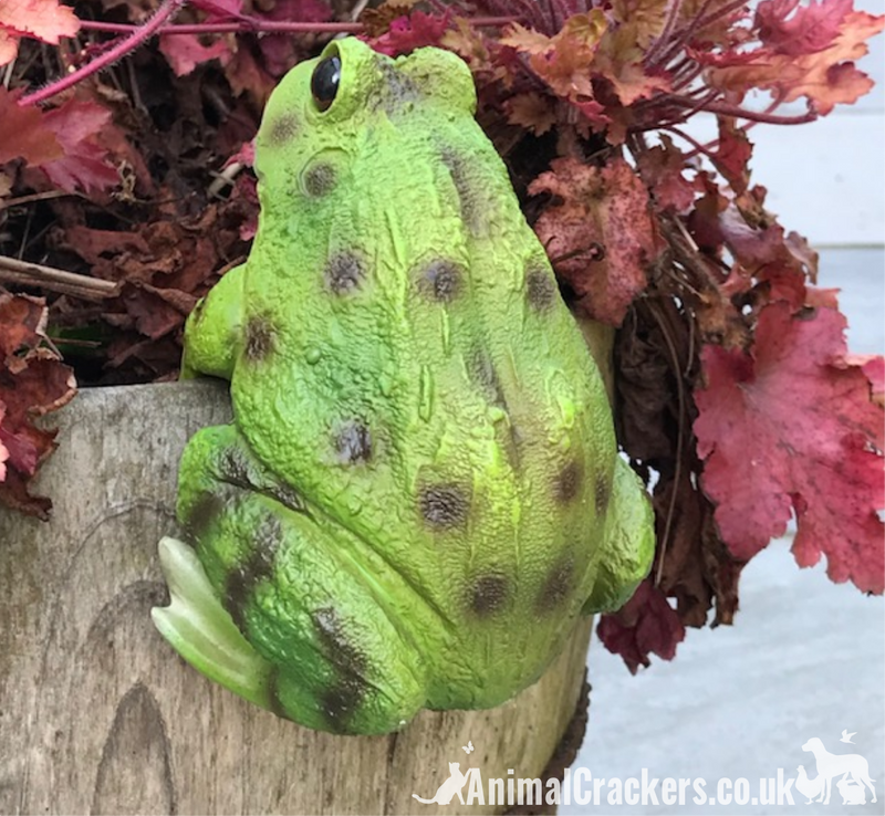 Frog POT PAL HANGER novelty resin garden ornament decoration Toad lover gift