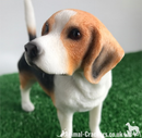 Beagle figurine by Leonardo, realistic quality item, gift boxed