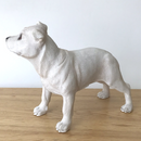White Staffordshire Bull Terrier Staffie Staffy ornament figurine Leonardo boxed