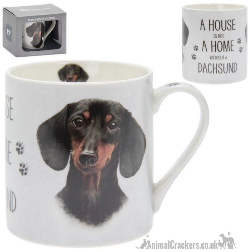 'A House is Not a Home Without a Dachshund' design china Mug by Leonardo, in presentation gift box
