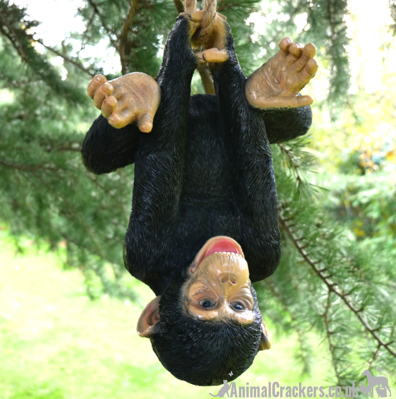 30cm rope swinging Climbing Chimpanzee garden ornament decoration, novelty Monkey lover gift