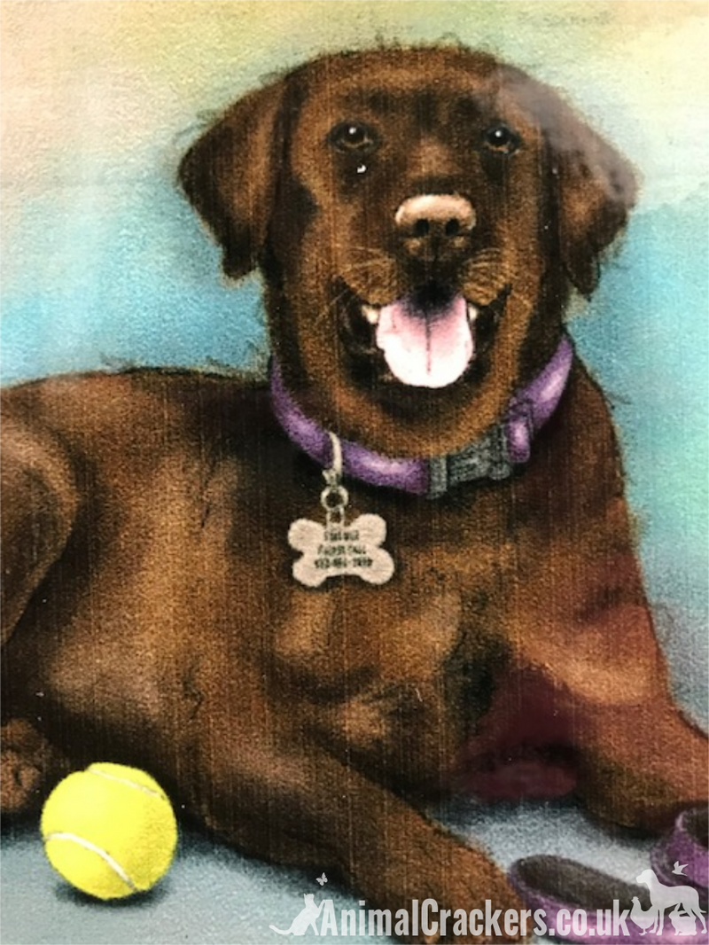 20cm metal vintage style Chocolate Labrador breed character hanging sign plaque