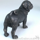 Cold Cast Bronze Pug quality heavy sculpture ornament figurine statue gift boxed