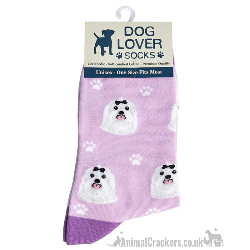 Womens Maltese design socks One Size quality cotton mix novelty Dog lover gift