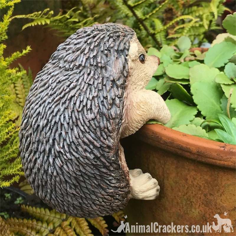 CUTE HEDGEHOG POT HANGER novelty resin garden ornament, great Hedgehog lover gift