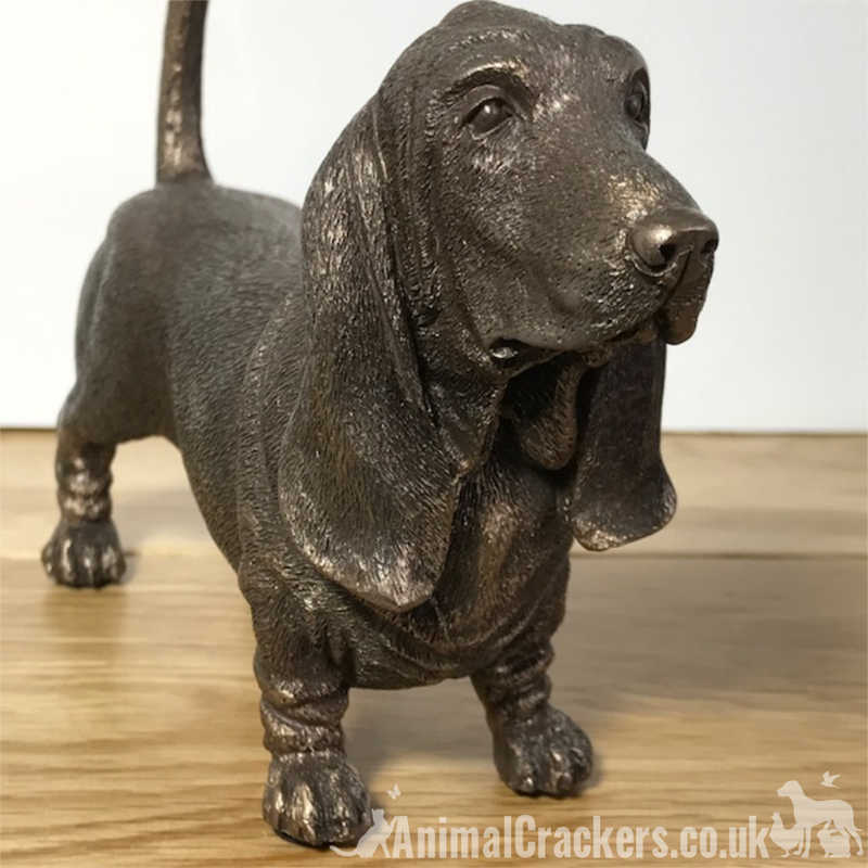 Basset Hound figurine in cold cast bronze, gift boxed