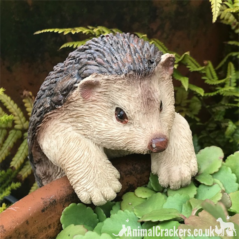 CUTE HEDGEHOG POT HANGER novelty resin garden ornament, great Hedgehog lover gift