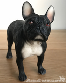 Black French Bulldog Frenchie ornament figurine sculpture Leonardo, gift boxed