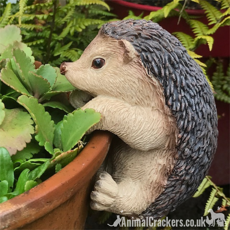 CUTE HEDGEHOG POT HANGER novelty resin garden ornament, great Hedgehog lover gift