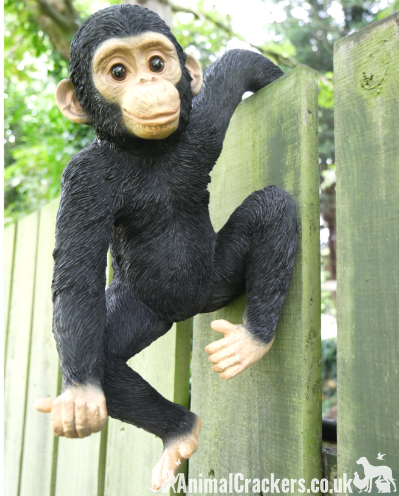 Fence Hanging Monkey ornament sculpture, novelty garden decoration, Chimp lover gift
