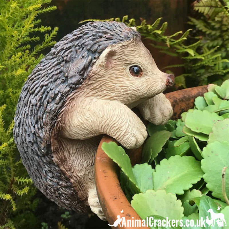 CUTE HEDGEHOG POT HANGER novelty resin garden ornament, great Hedgehog lover gift