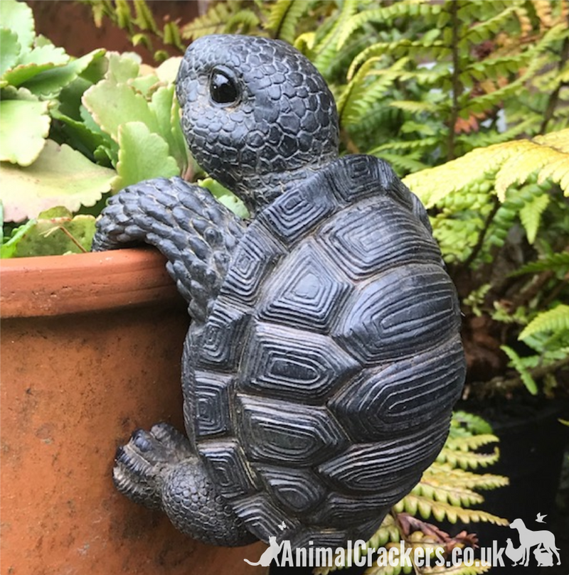 TORTOISE POT HANGER novelty resin garden ornament, great reptile lover gift