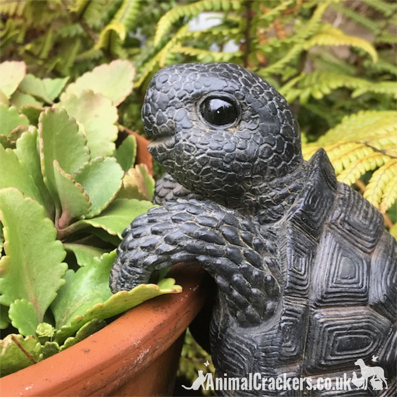 TORTOISE POT HANGER novelty resin garden ornament, great reptile lover gift