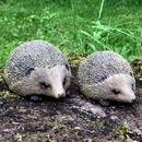 SET OF 2 HEDGEHOGS indoor or outdoor ornaments, hedgehog lover gift