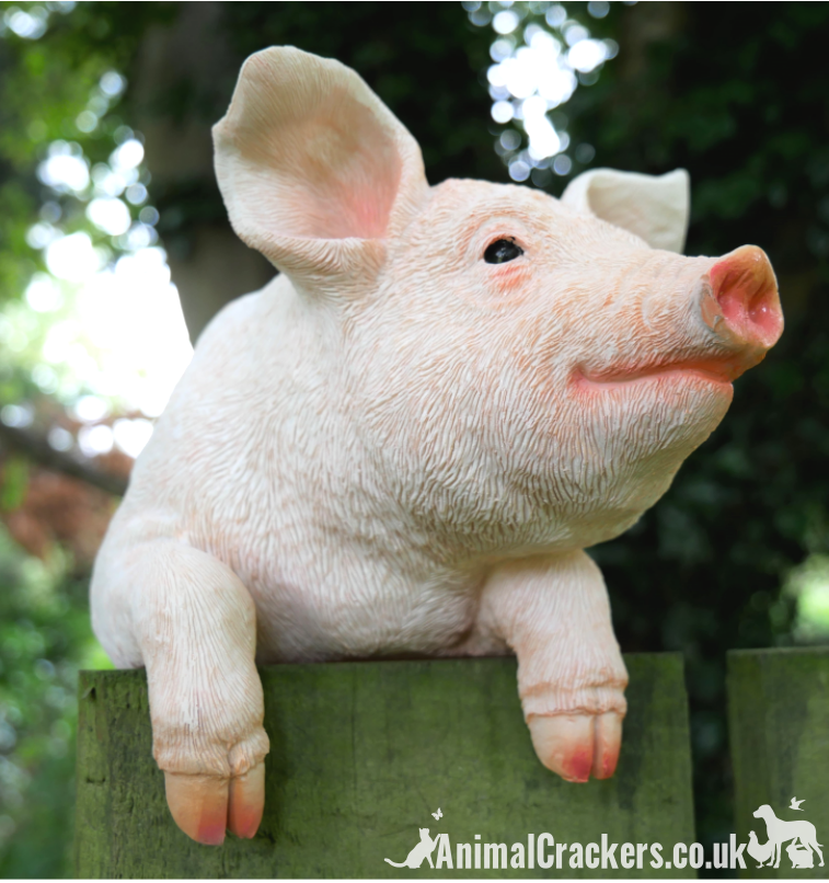 Fence Hanging Pig ornament sculpture, novelty garden decoration, Pig lover gift