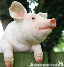 Fence Hanging Pig ornament sculpture, novelty garden decoration, Pig lover gift