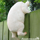 Fence Hanging Pig ornament sculpture, novelty garden decoration, Pig lover gift