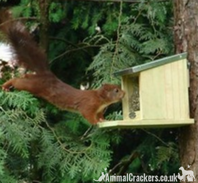 Squirrel feeder in chunky wood with flip top tin roof, robust and easy hang, great squirrel lover gift