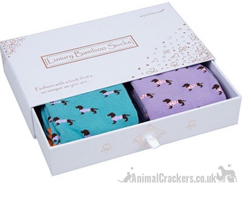 TWO PAIR GIFT SET (Lilac + Blue) Ladies quality Bamboo 'Pooch' Dachshund in spotty coat design socks