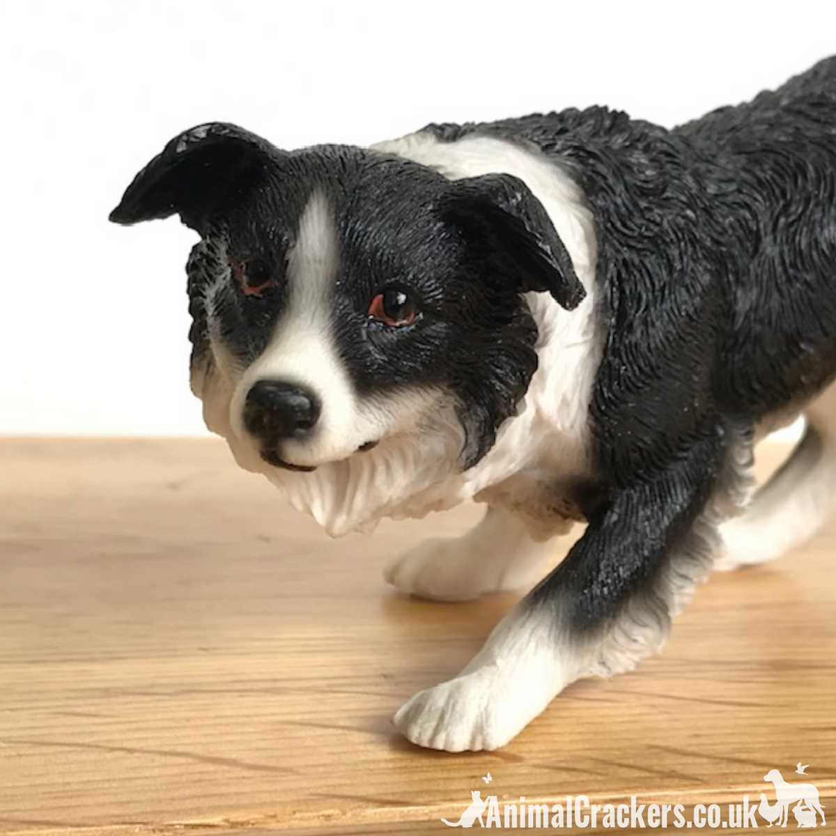 Chien Border collie - Statues, figurines et animaux en résine Chien Border collie - Statues, figurines et animaux en résine