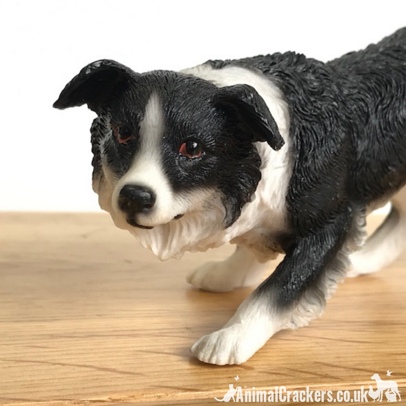 Leonardo Border Collie 'Sheepdog' in classic pose ornament, in quality gift box