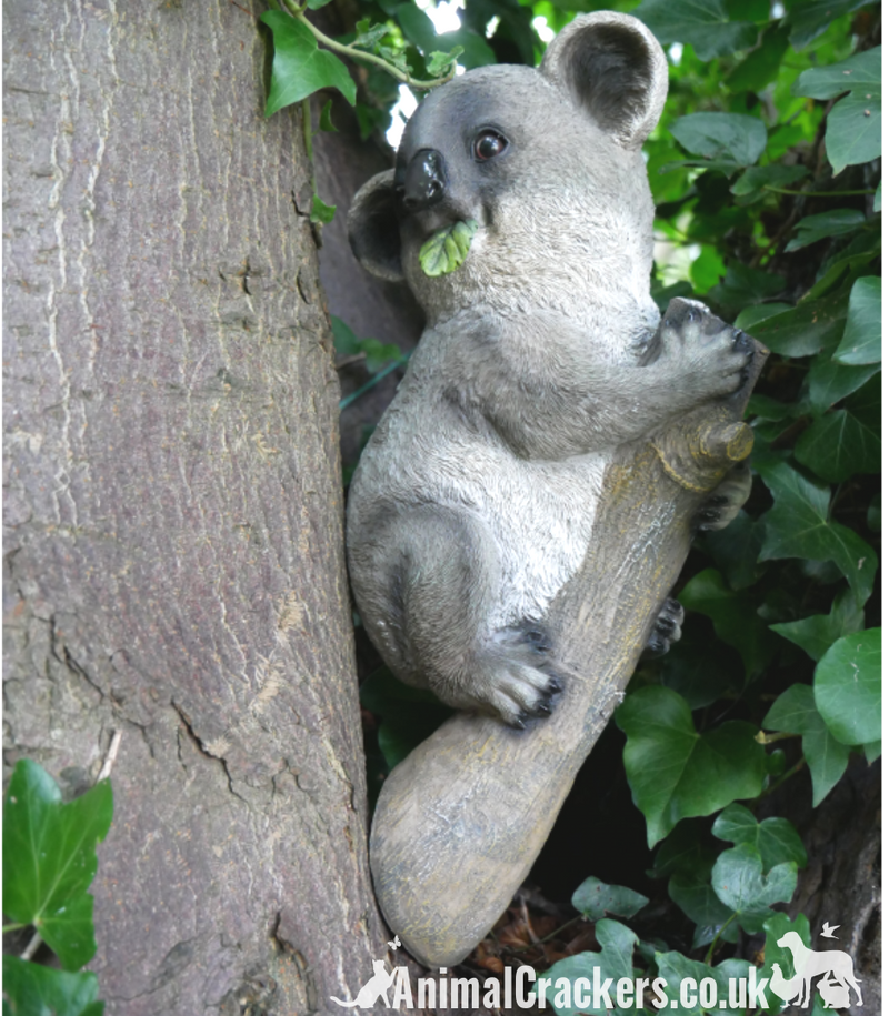 Koala on Branch ornament, great novelty garden decoration and Koala lover gift