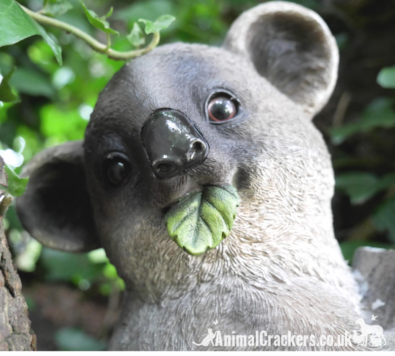 Koala on Branch ornament, great novelty garden decoration and Koala lover gift