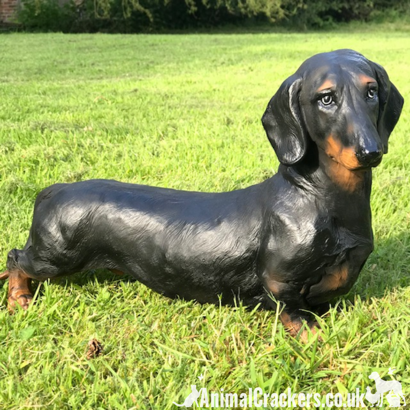 Large 38cm realistic Dachshund sausage dog indoor or outdoor ornament figurine