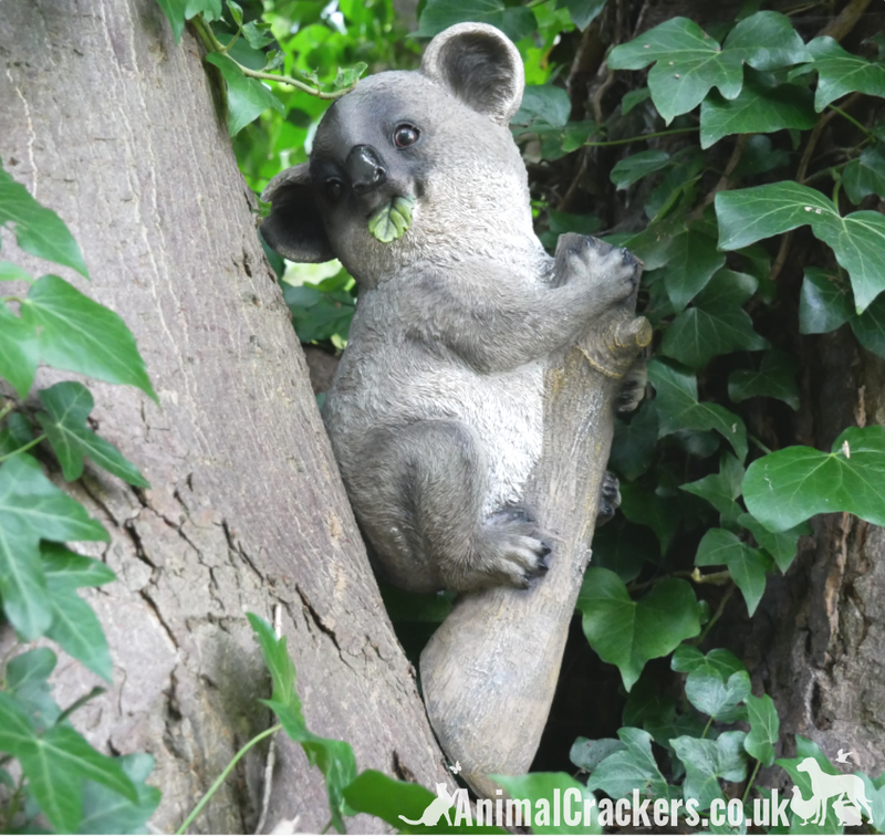 Koala on Branch ornament, great novelty garden decoration and Koala lover gift