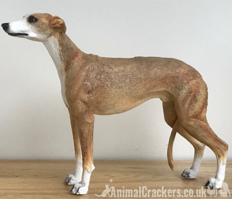 Fawn Tan Greyhound ornament sculpture statue lifelike Leonardo figurine, boxed