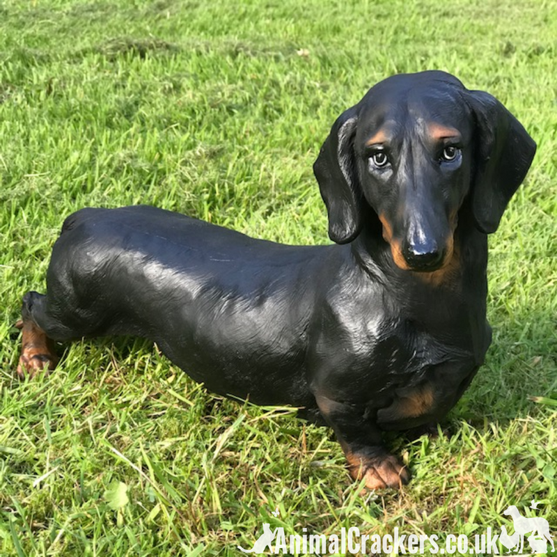 Large 38cm realistic Dachshund sausage dog indoor or outdoor ornament figurine