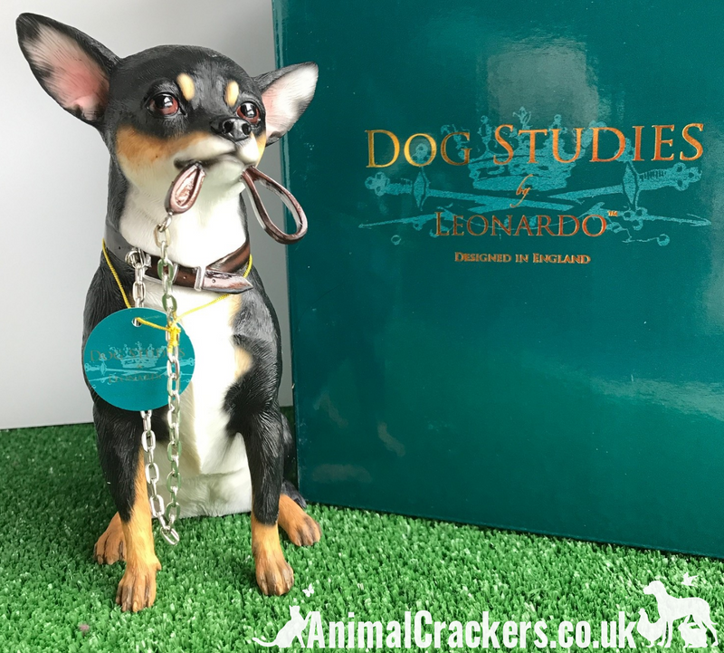 Chihuahua black & tan quality lifelike large 18cm Leonardo figurine. Gift boxed.