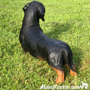 COMING SOON! Large Realistic Dachshund figurine, home or garden decoration, length 38cm