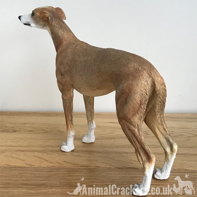 Fawn Tan Greyhound ornament sculpture statue lifelike Leonardo figurine, boxed