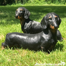 COMING SOON! Large Realistic Dachshund figurine, home or garden decoration, length 38cm